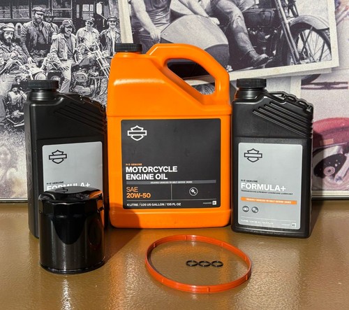 Kit manutenzione filtro olio